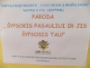 dscf8316